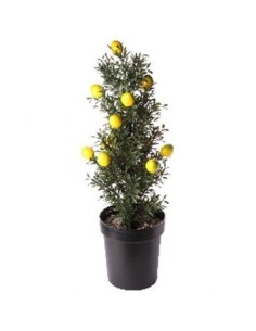 Planta frumoasa decorativa artificiala, ghiveci cu fructe 60cm GLN251M