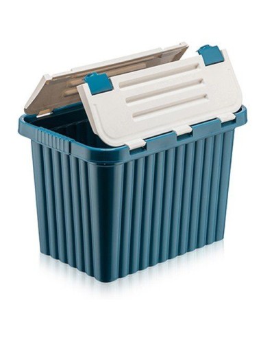 Cutie depozitare 50 l cu capac incorporat din plasti| Recomandare